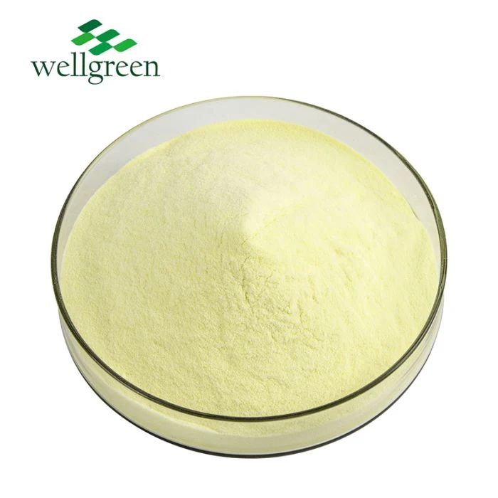 Wellgreen Skincare Vitamin a Retinol Additives 50000iu/G Vitamin a Acetate Powder