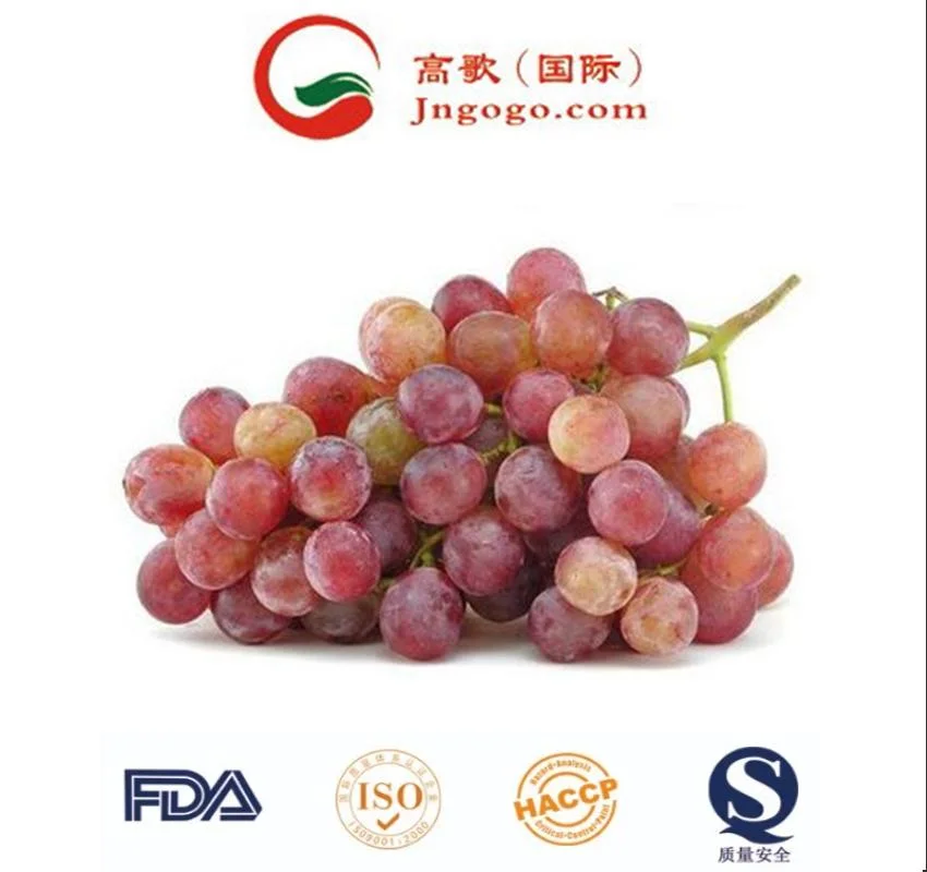 Hot Selling Canned Fruit Grapes in Syrup Fresh Grapes Peeled Grapes