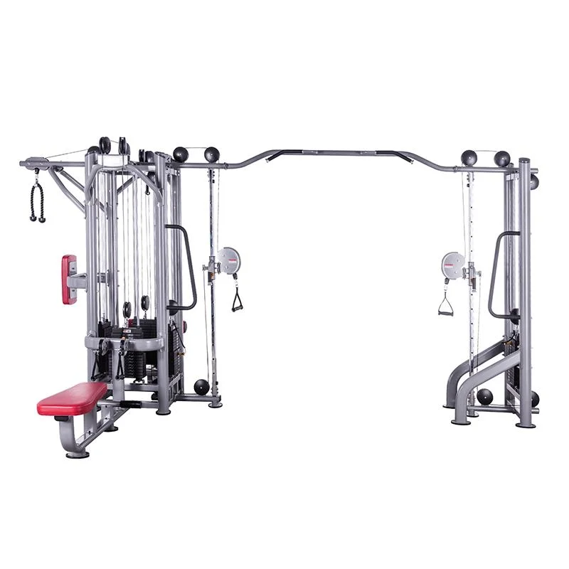 Bench Phone Holder Weights for Gym Fitness Equipment