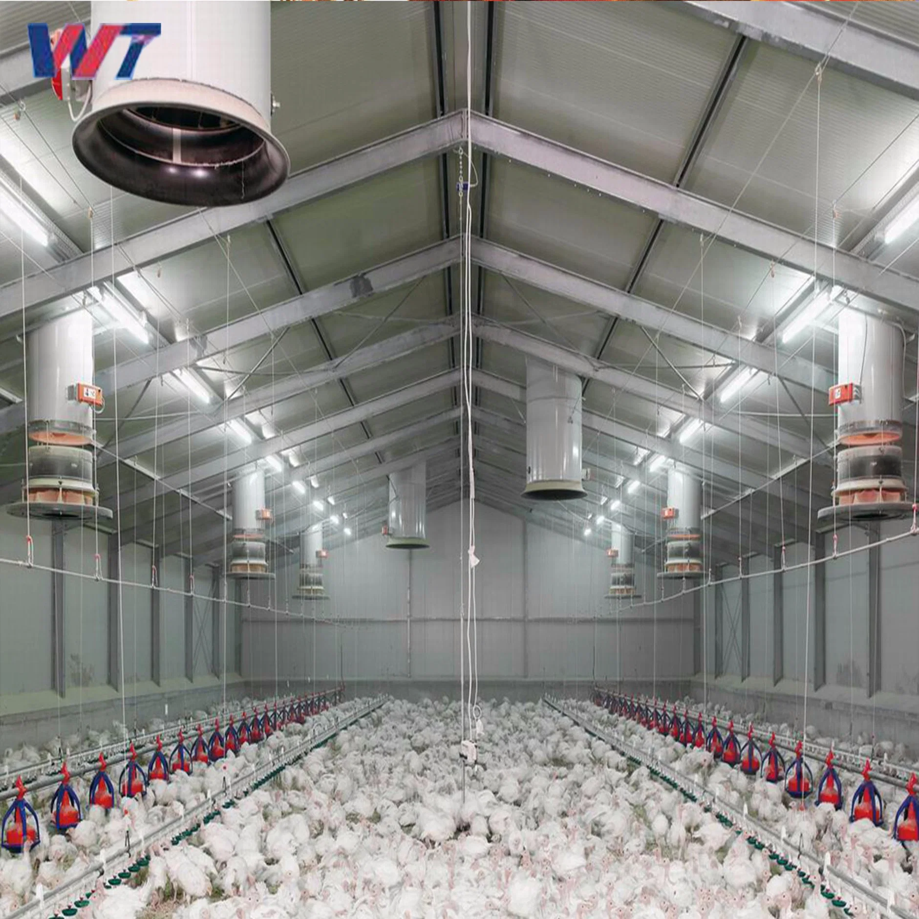 Quality Approved Prefabricated Prefab Fabricated Steel Structure Shed Chicken Farm Poultry with Low Cost