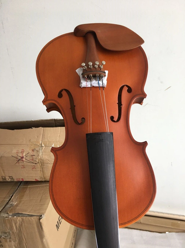 Aiersi Musical Instruments with Spruce Skin Plywood Violin in Violin