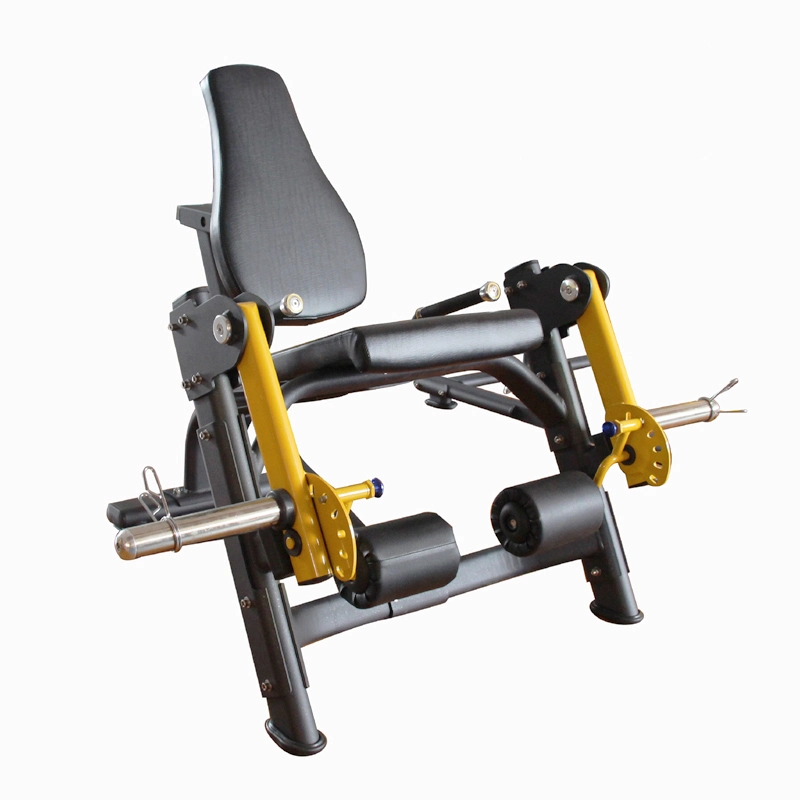 Dhz Fitness Equipment Gym Use Leg Extension (AXD-M1011)