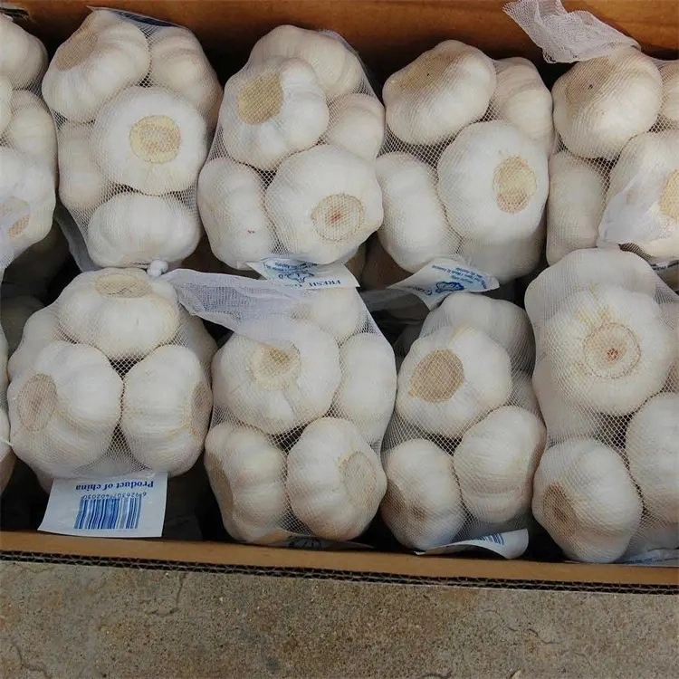 Pizhou Peeled Garlic Fresh Chinese 3p Pure White Garlic Normal White