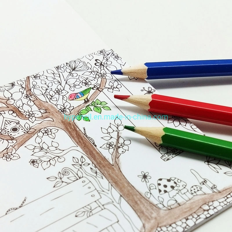 Hy07050-Office School Stationery Art Supplies مجموعة من 50 قلمًا رصاصًا ملوّن في الأنبوب البلاستيكي