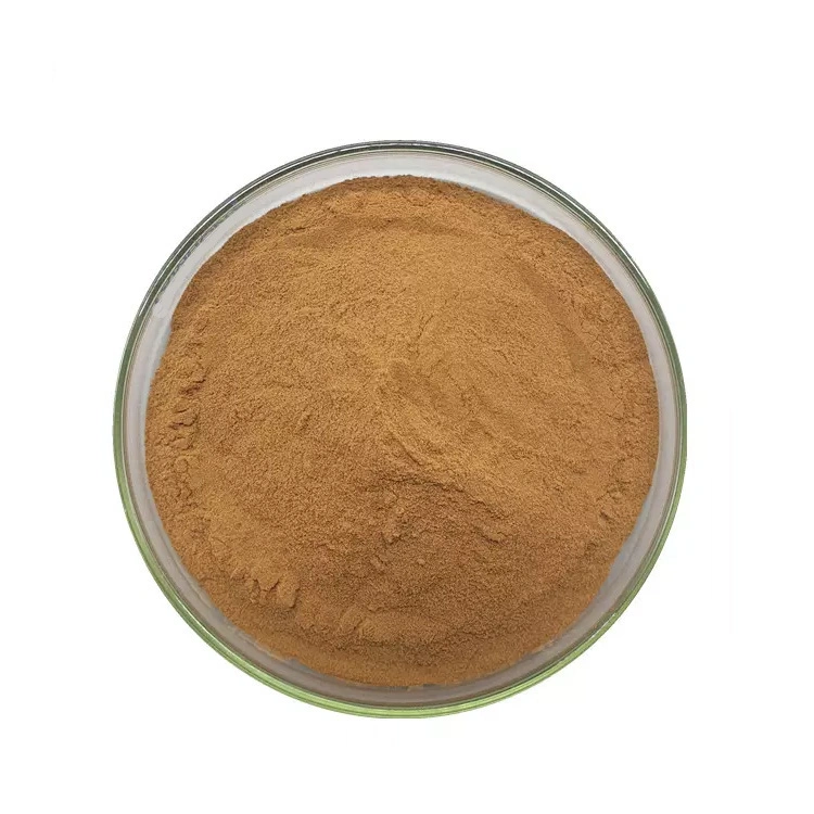 Wholesale/Supplier Price Food Grand Reishi Mushroom Extract Powder