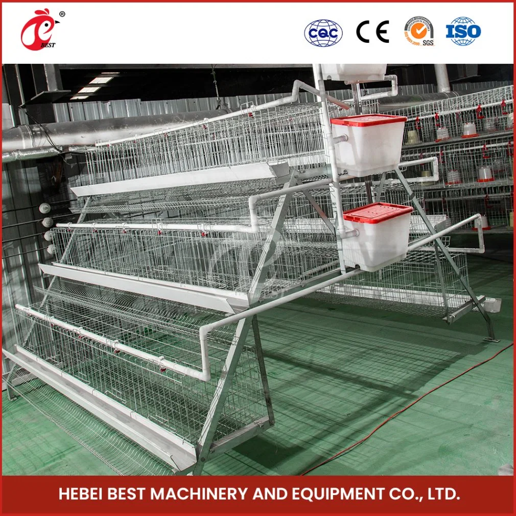 Bestchickencage a Type Layer Cage China Gamefowl Layer Cages Factory Wholesale/Supplier Chicken Broiler Layer Cage Configuration Electric Chicken Coop Door