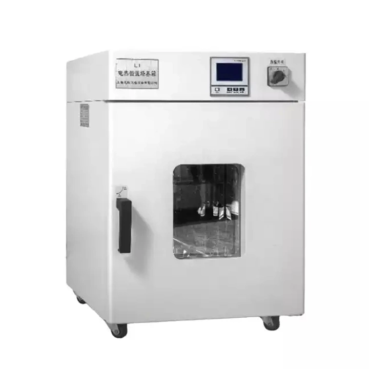 Digital Small Lab Incubator Thermostat Laboratory Medical Heated Incubators