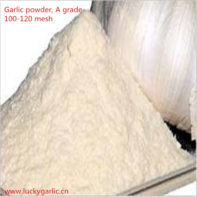 Garlic Powder Wholesale, Garlic Powder