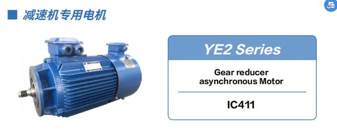 Ye2 Gear Reducer Asynchronous Motor