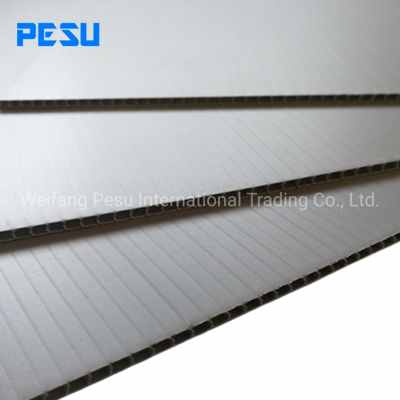 Durable PP Corrugated Sheet for Building Construction