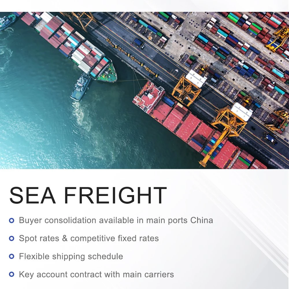 Fba Amazon Ocean Freight o tarifas de carga marítima desde China a Alemania