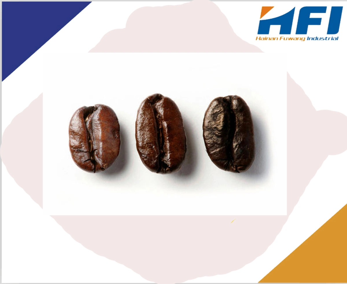 Bulk Coffee Beans with Superior Quality Roasted Arabica Coffee Beans Washed Coffee Beans