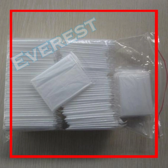 Disposable Bagged PE Gloves