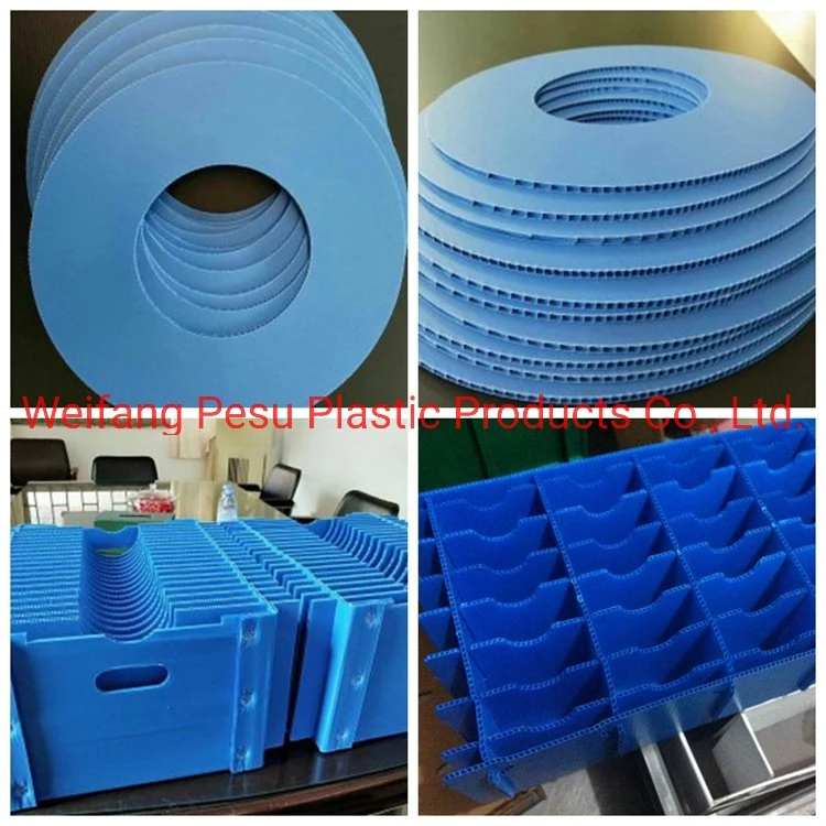 PP Hollow Profile Sheet - Polypropylene Hollow Profile Sheet