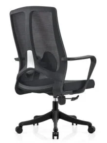 Ergonomic Middle Back Adjustable Tilting Staff Task Home Office Swivel Chair