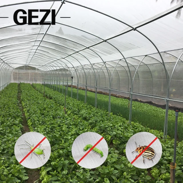 90GSM Clear Insect Proof Mesh, Orchard Cover Fruit Trees Protection Net, Fly Screening Mesh Plastic Nets 2.4m Width