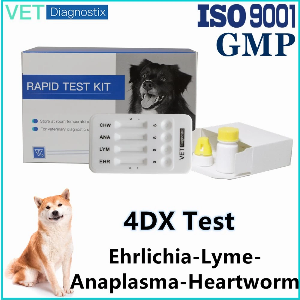 Ehr Lym Ana Chw Test Ehrlichia Lyme Anaplasma Heartworm Combo Rapid Diagnostic Test

Teste de Diagnóstico Rápido Combo para Ehrlichia, Lyme, Anaplasma e Dirofilariose