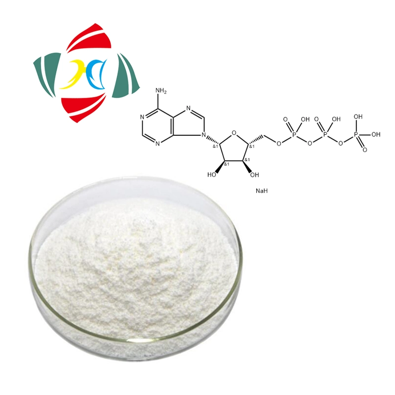 Hhdpharm Manufactory Alta pureza calidad Superior 99% ATP adenosina trifosfato Disodio CAS 987-65-5