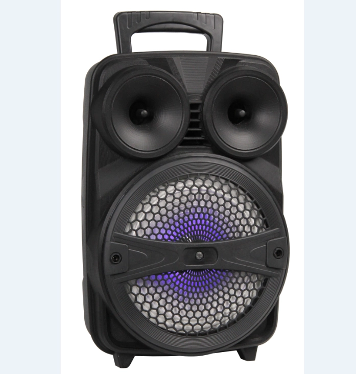 8'' Portable Rechargeable Bluetooth Speaker with LED Light