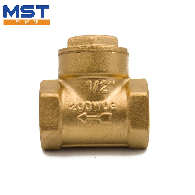 Brass Thread Industrial Full Bore Swing Check Valve for Gate Ball Water Oil Gas Water Pipe Fitting Auto Machine