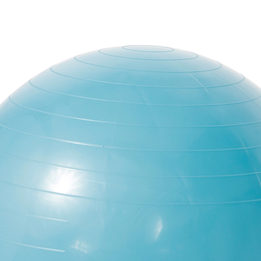 Gonflable en PVC Anti Burst Formation personnalisée Salle de Gym imprimé le yoga la bille