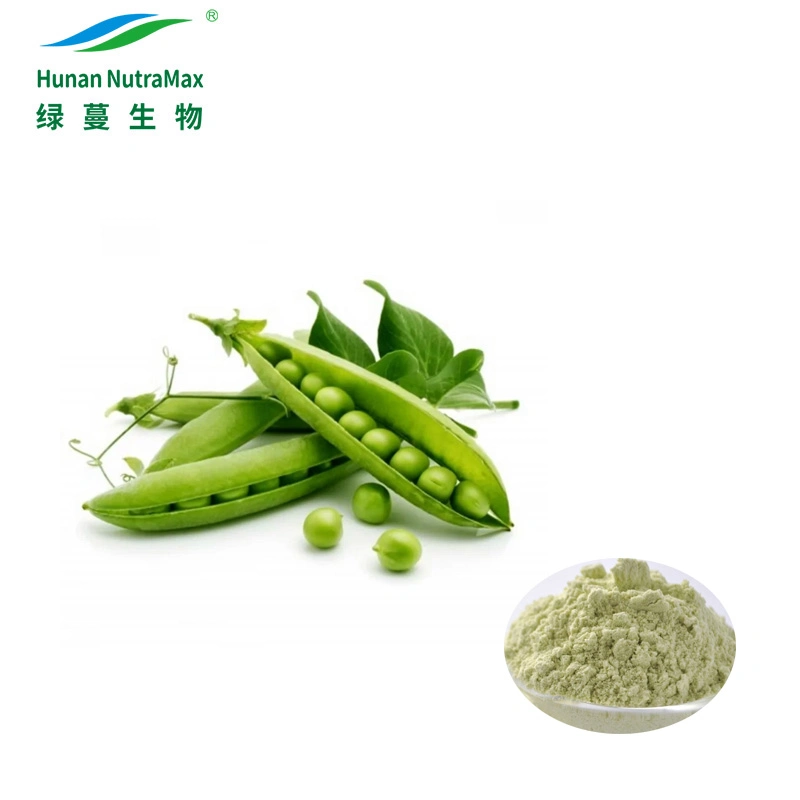 Wholesale/Supplier Green Pease Powder Pea Protein Powder 80%-85%