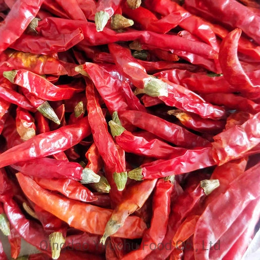 Whole Dry Red Chilli From Chinese Factory