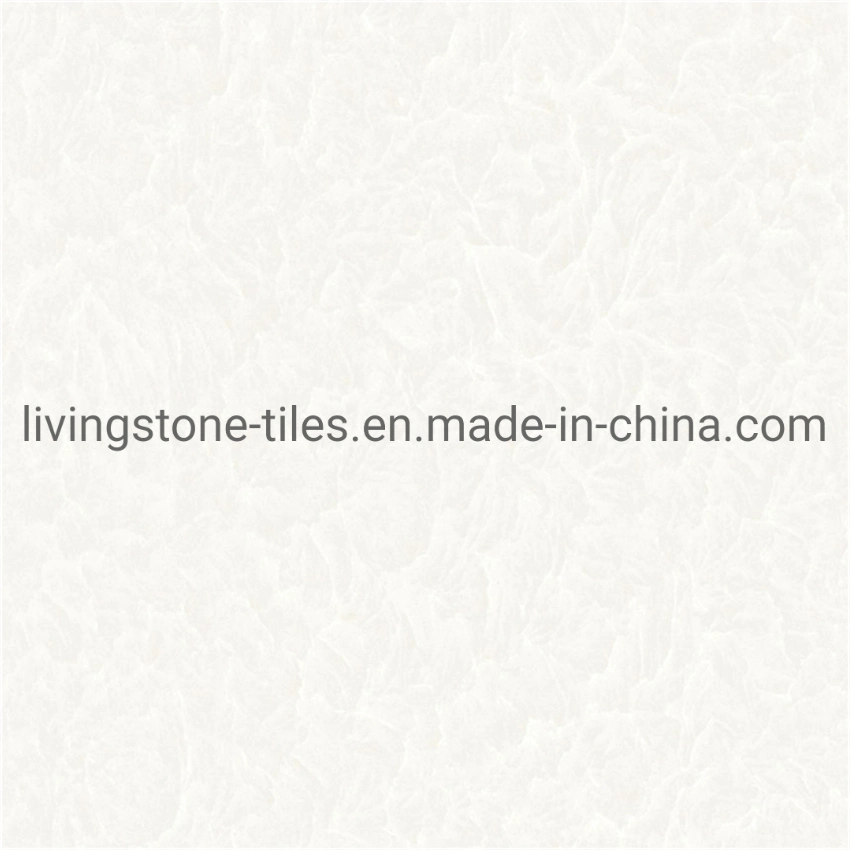 600*600mm Iceberg Snow Lotus Series Matt Finish Building Material Floor Cement Hotel Tile