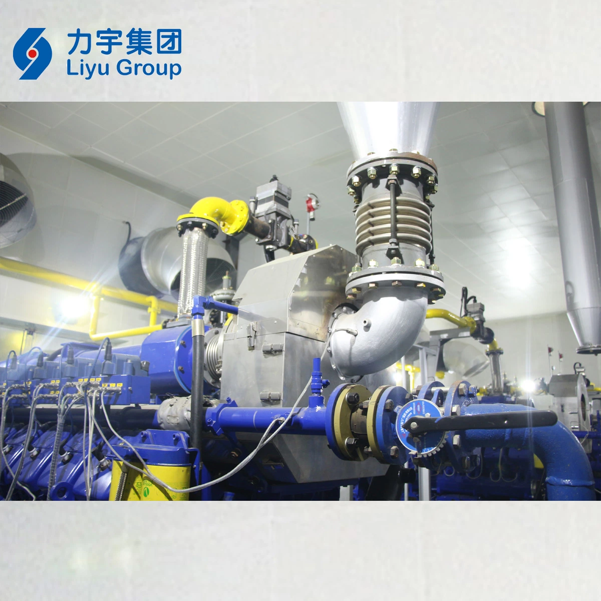 China Liyu 0.8MW/800kw High Voltage Gas-Fired Internal Combustion Engine Energy Saving Biomass Gas Powerd Generator Set Manufacturer