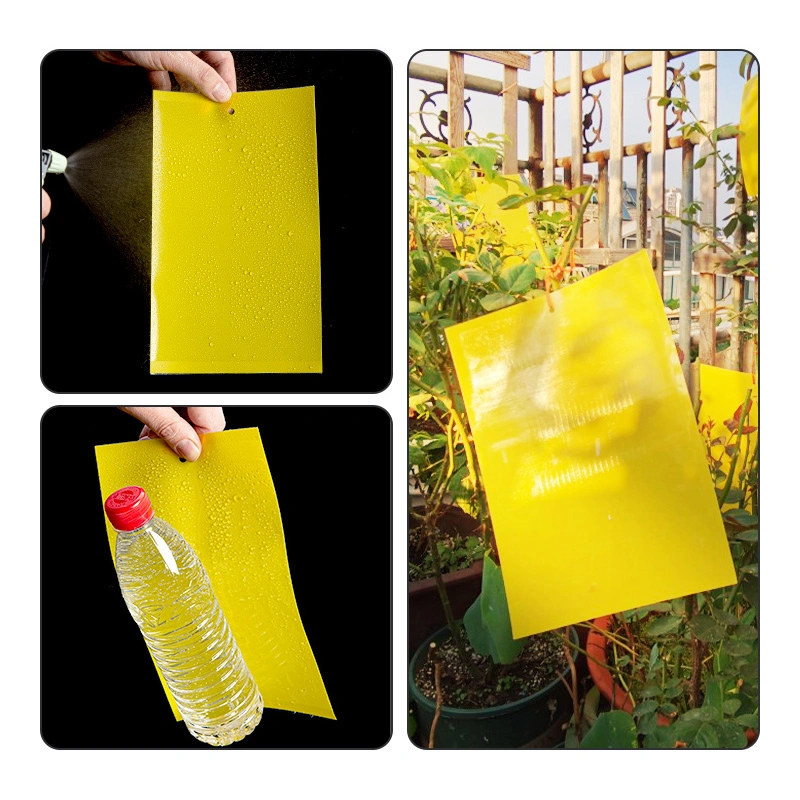 L'usine produit de plein air de gros moustiques Killer carré jaune Sticky Fly Trap de colle