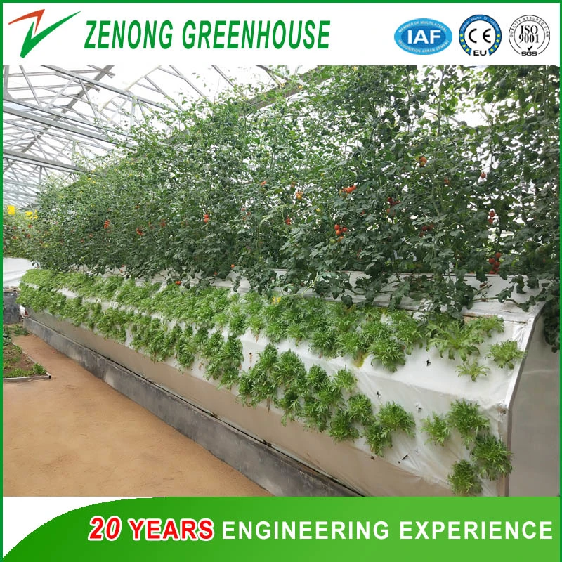 Factory Supply High Tech Hydroponics System Agriculture Planting Greenhouse Materials