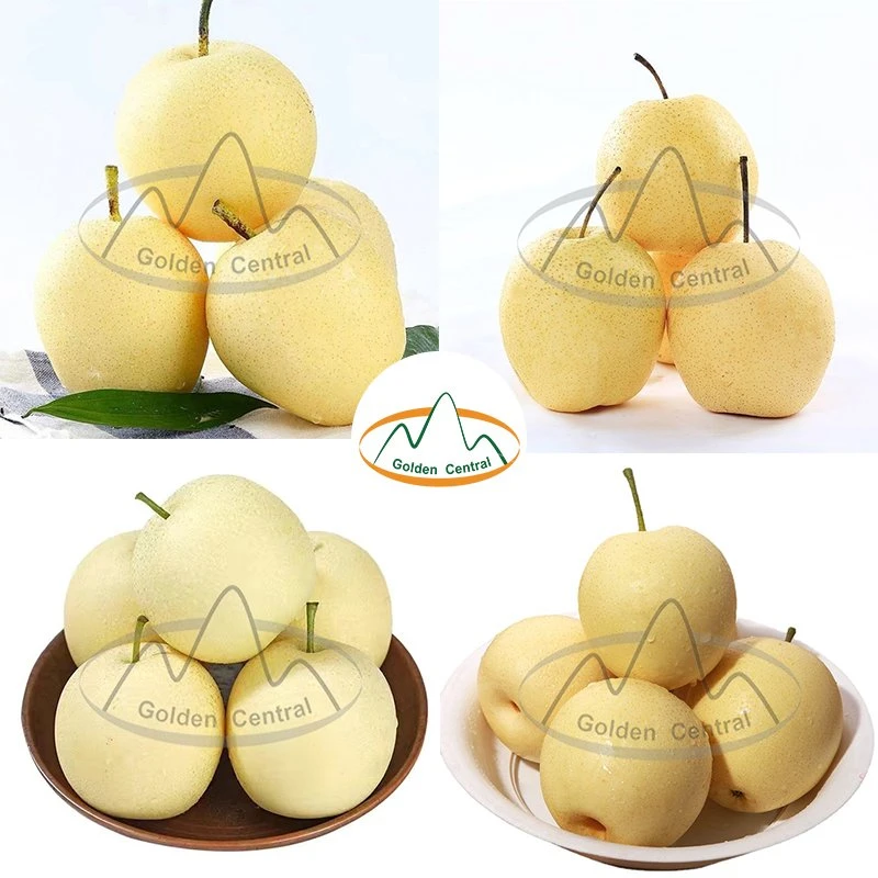 Chinese Factory Wholesale/Supplier Sweet Juicy Fresh Crown Pear with Low Price