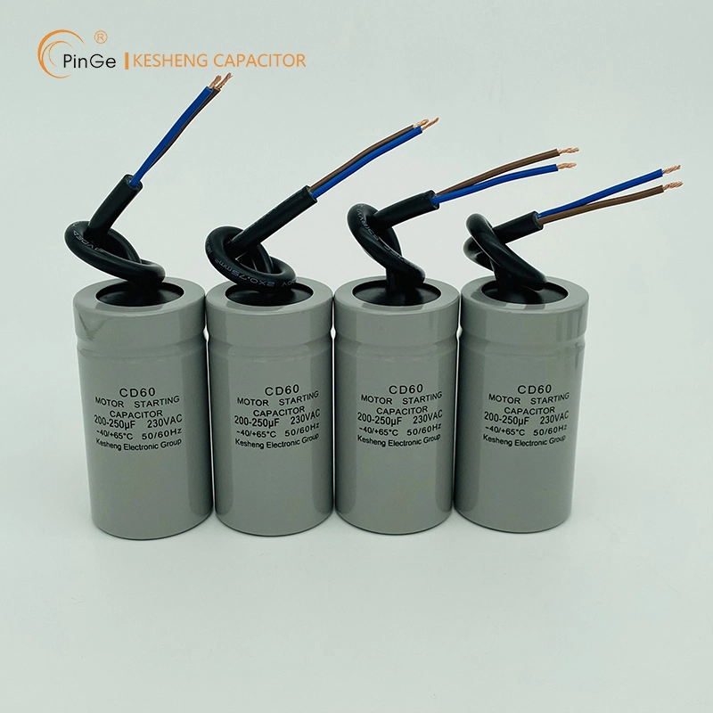 CD60 Motor Starting Capacitors OEM ODM Manufacturer in China