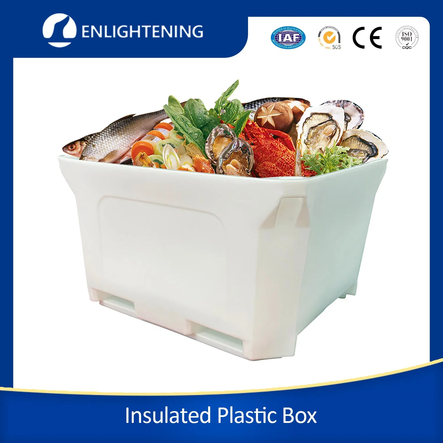 1000 Litres Rotomolded Plastic Cold Chain Storage Box Insulated Fish Bins Cold Food Storage