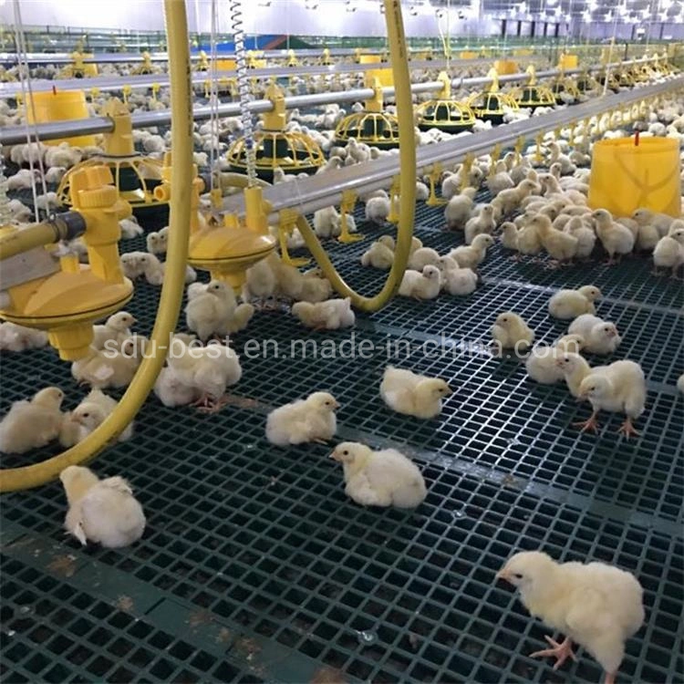 Ferme avicole-de-chaussée ÉLEVANT POULET éleveur de poulets de chair de volaille Pan pour le contrôle automatique de système d'alimentation de vis de vidange de carter