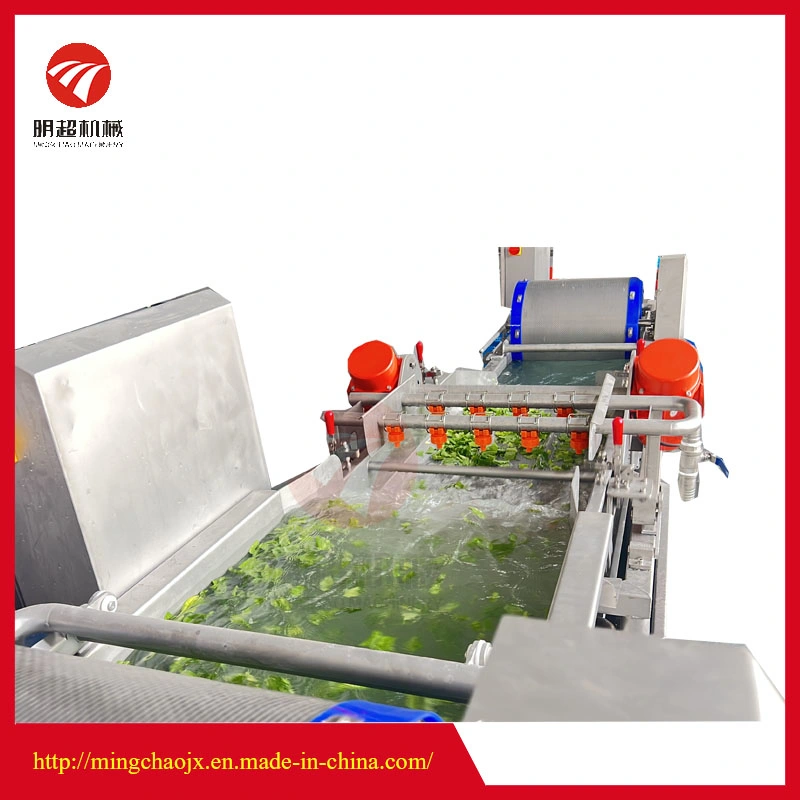 Vortex Lettuce Washing Machine Salad Washing Machine for Sale