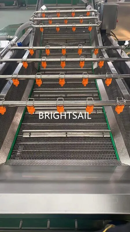 Brightsail Industrial de frutas y verduras Lavadores de aire burbuja de limpieza de equipos Lavadora de burbujas