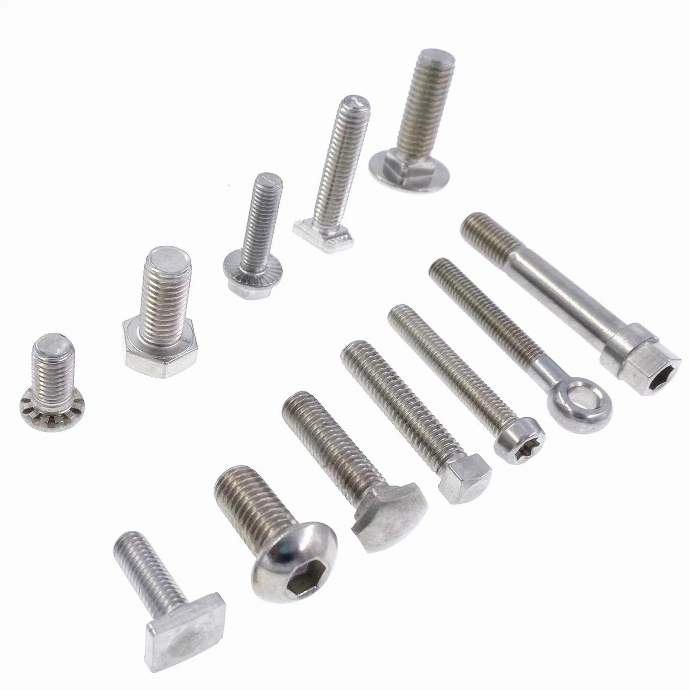 Stainless Steel Hex Bolt/Carriage Bolt/Anchor Bolt/Flange Bolt/T Bolt/Square Head Bolt/Hex Socket Cap Screw/Square Bolt/Wing Bolt/Eye Bolt/Knurled Bolt/U Bolt