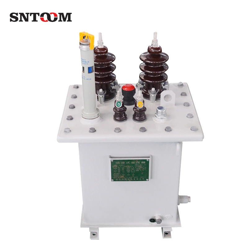 Custom D11 Single Phase Compact Oil Immersed Power Distribution Transformer 5/10/15/20/25/30/50/63/80/100/125/160/200 kVA Price