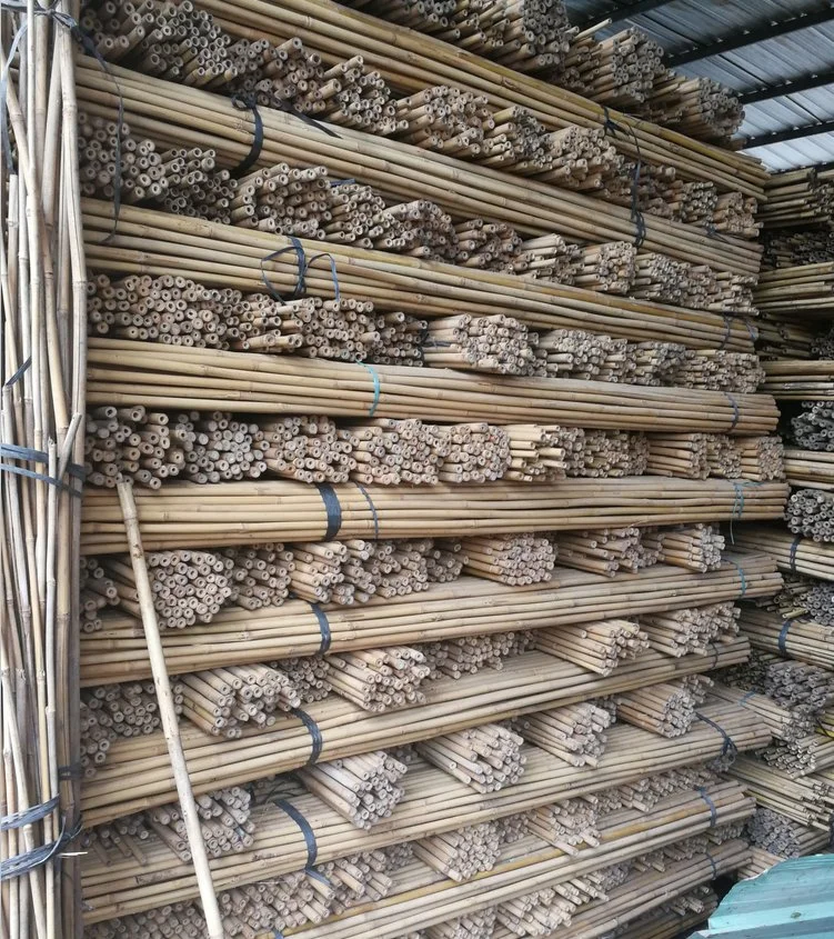 Bamboo Poles/Canes/Stakes Poles for Garden Plant Support