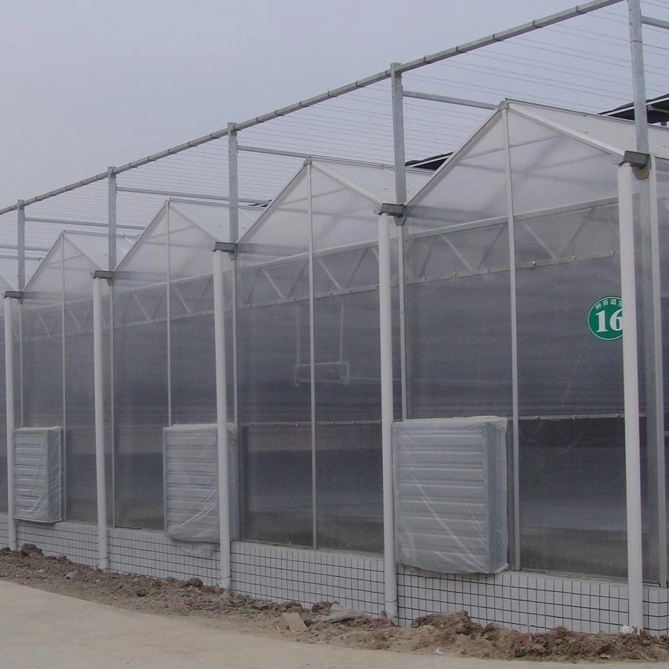 Flower/Fruit/Vegetables Growing Polycarbonate Sheet Greenhouse with Sunshade System