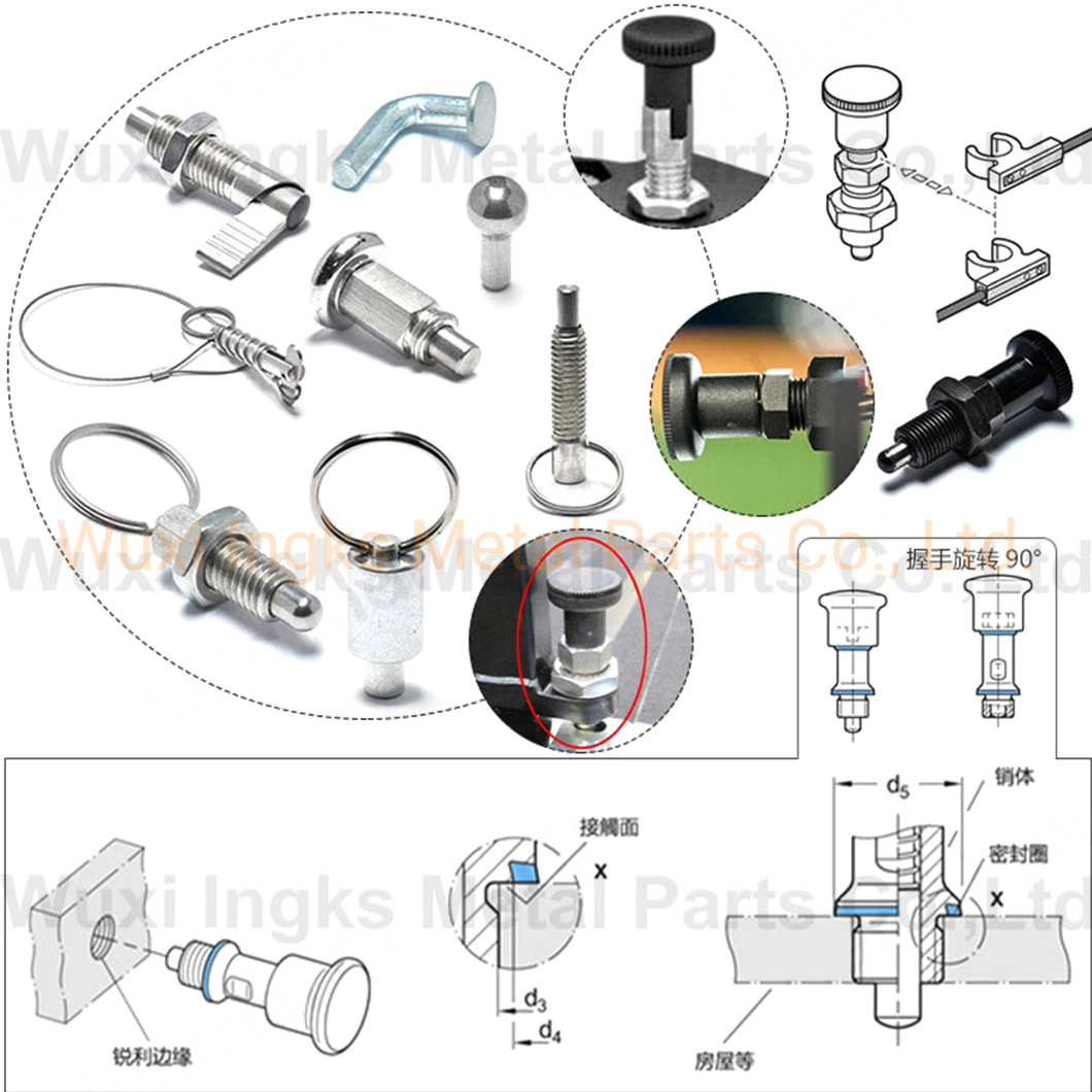 Corps en acier inoxydable M5 M6 Type de réinitialisation bouton d'indexation Plongeur