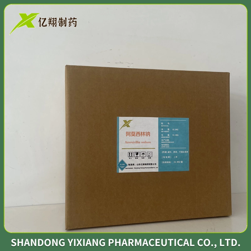 Durg Supplier of China GMP Amoxicillin Sodium Antibiotic Amoxicillin Sodium Veterinary Medicine for Injection 0.25g 0.5g 1.0g