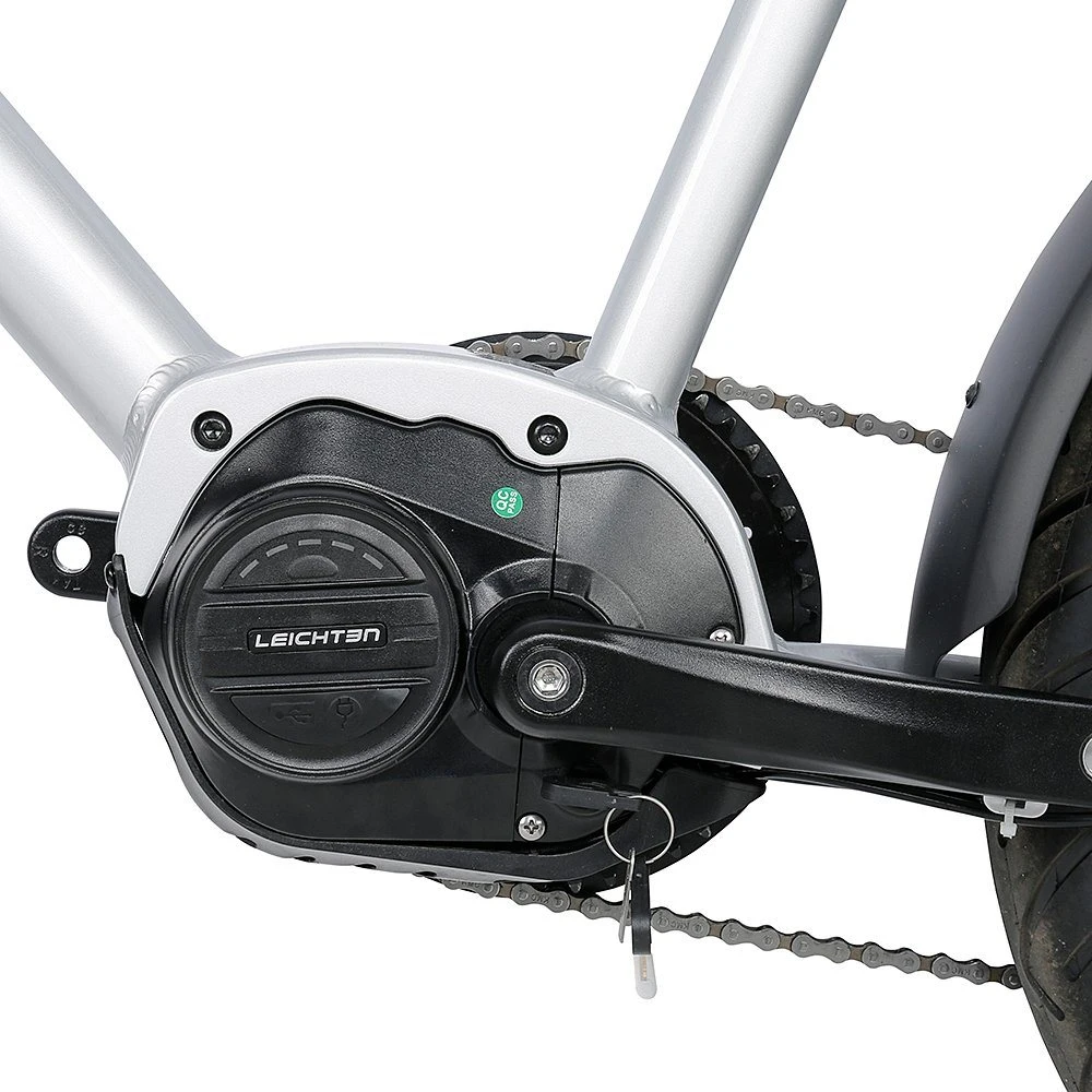 Новый дизайн 20 дюйма дешево эбайк 250 Вт городской велосипед жиры Шина Электрическая Горная велосипедная велосипед Bicicleta Electrica с CE