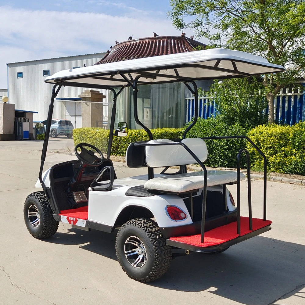 Wholesale/Supplier 2 4 6 8 Seats Golf Cart Sightseeing Vehicle/ Electric Utility Golf Car