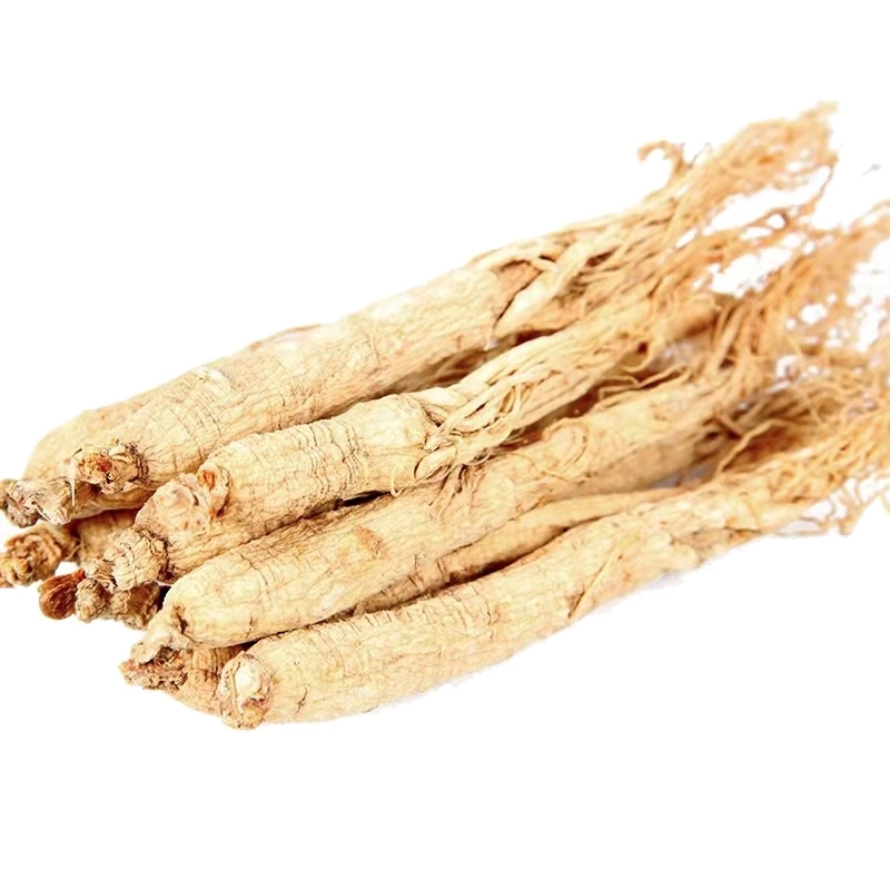 Hot Sale Herb Medicine Health Supplement Whole White Ginseng Root Panax Ginseng