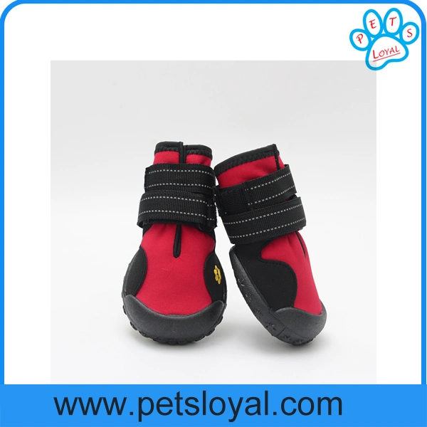 Amazon Standard Pet Shoes Dog Boots Factory Wholesale/Supplier