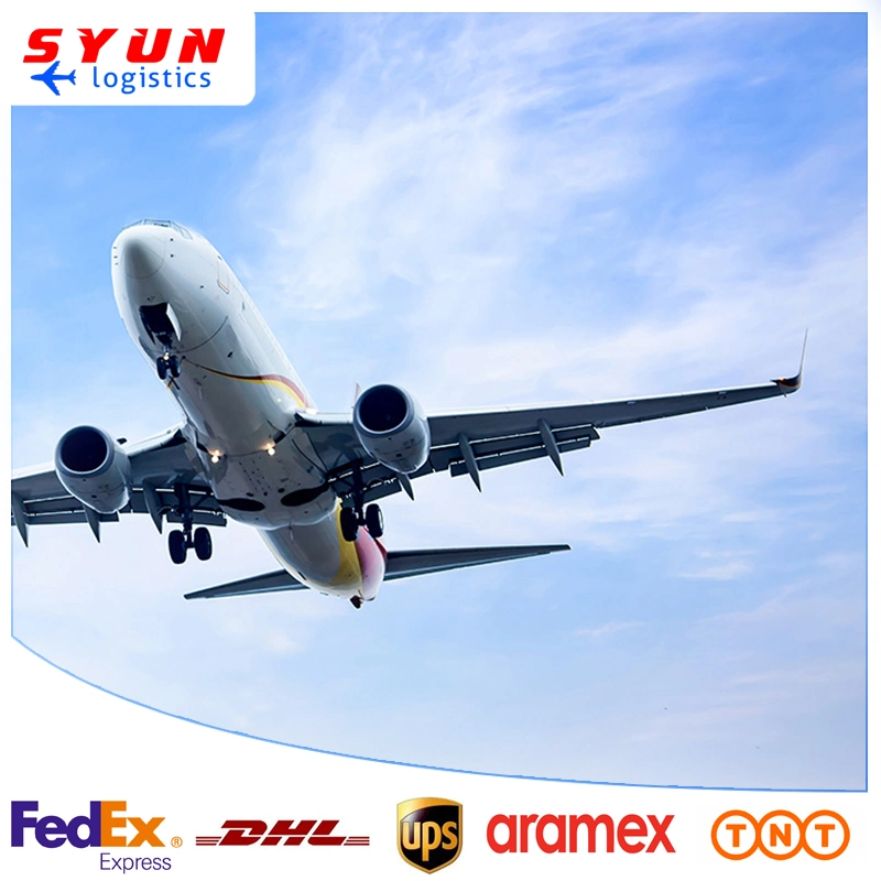 Reliable Air Freight Forwarder DHL FedEx UPS From China to French Guiana