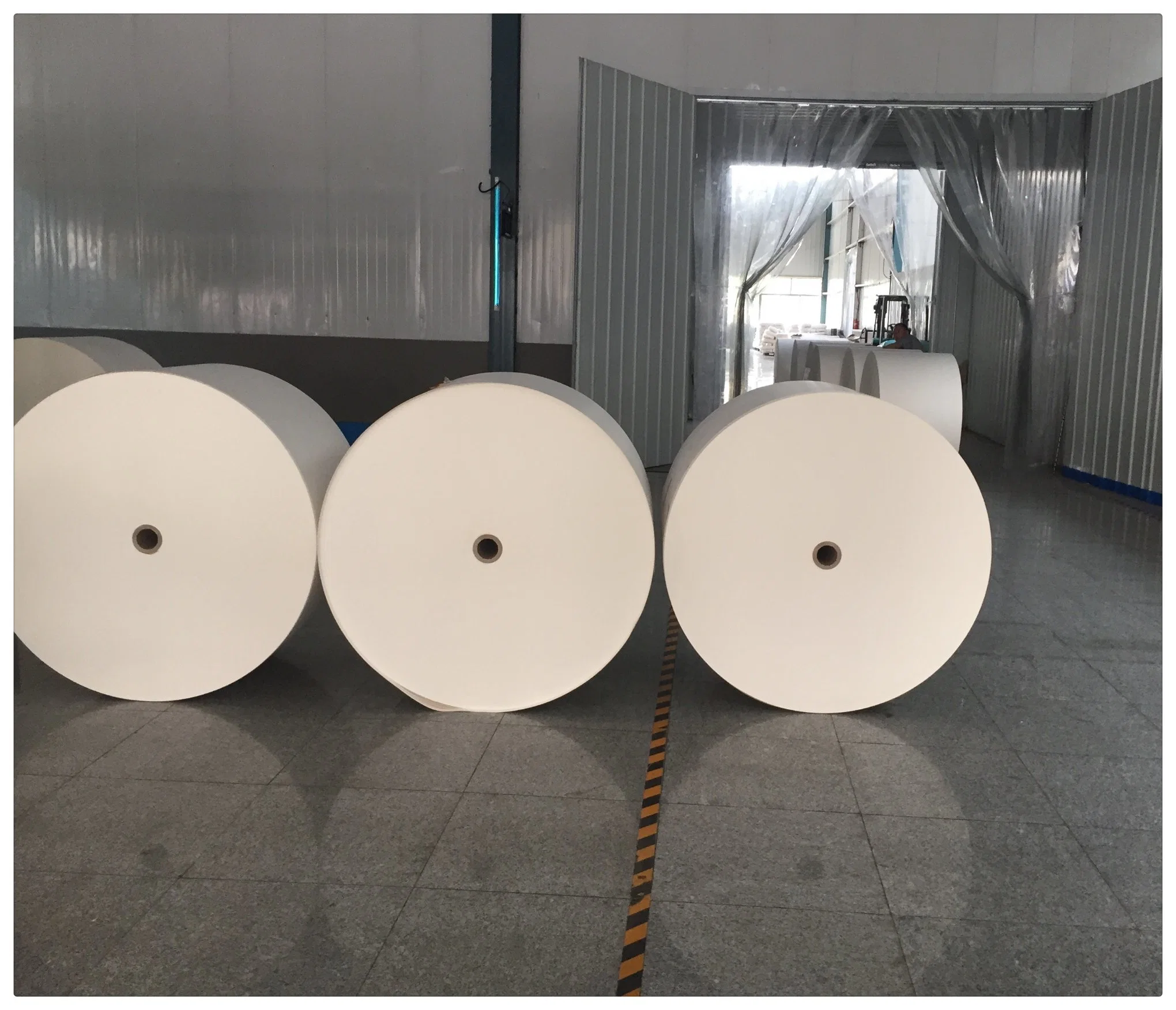 High Glossy PE Coated Paper in Rolls/Sheets for Cup with Low Price