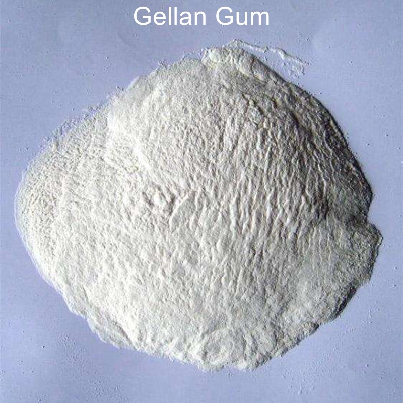 China Supply High quality/High cost performance  Gellan Gum E418 for Jelly/Beverage